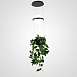 Подвесной Светильник Palma Wall Lamp Шар + Вазон Imperiumloft 168489-22 - фото