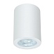 Точечный накладной светильник Arte Lamp TINO A1468PL-1WH - фото