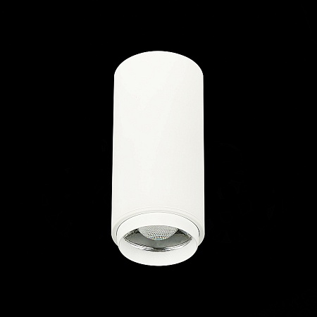 Светильник потолочный Zoom Белый LED 1*10W 4000K 1 000Lm Ra>80 15-60° IP20 D59xH130 170 ST600.542.10 - фото
