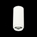 Светильник потолочный Zoom Белый LED 1*10W 4000K 1 000Lm Ra>80 15-60° IP20 D59xH130 170 ST600.542.10 - фото