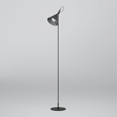 Напольный светильник Eurosvet 01187/1 черный - фото