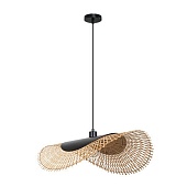 Подвесной светильник Arte Lamp WOODSTOCK A7063SP-1BK