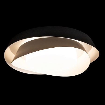 10256 Black Потолочный светильник LOFT IT Petale - фото