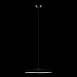 10119 Black Подвесной светильник LOFT IT Plato - фото