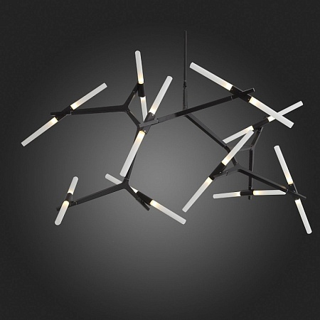 Люстра потолочная ST-Luce Черный/Белый G9 20*5W SL947.402.20 - фото