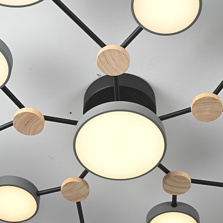 Потолочная Люстра Gamma D102 Grey Imperiumloft 223767-23 - фото