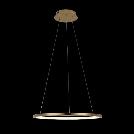 10014M Подвесной светильник LOFT IT Ring - фото