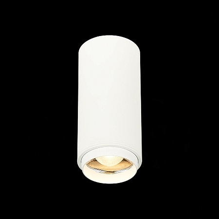 Светильник потолочный Zoom Белый LED 1*10W 3000K 1 000Lm Ra>80 15-60° IP20 D59xH130 170 ST600.532.10 - фото