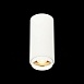 Светильник потолочный Zoom Белый LED 1*10W 3000K 1 000Lm Ra>80 15-60° IP20 D59xH130 170 ST600.532.10 - фото