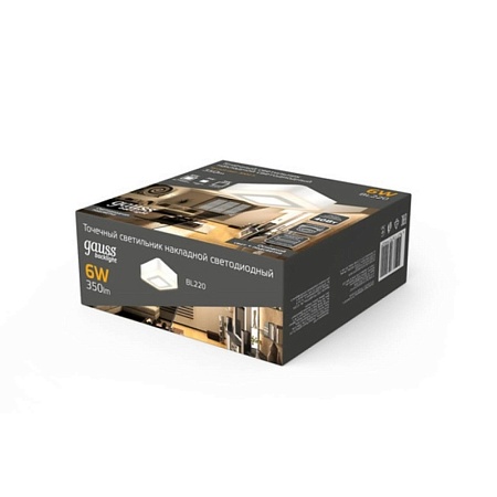 Трековый светильник GAUSS BL220_GAUSS - фото