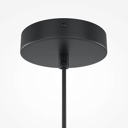 Подвесной светильник Maytoni Roots MOD194PL-01W1 - фото