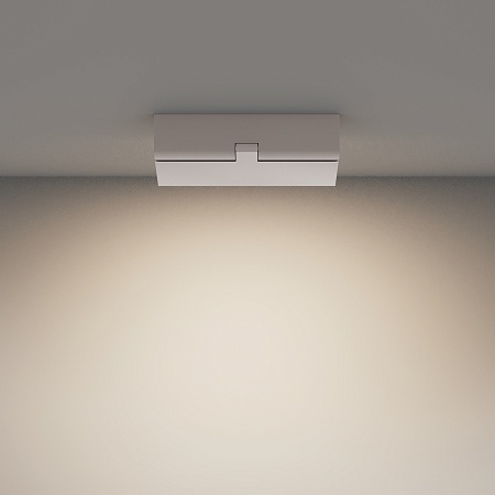 Потолочный светильник Technical Basis Rot C133CL-12W4K-W - фото