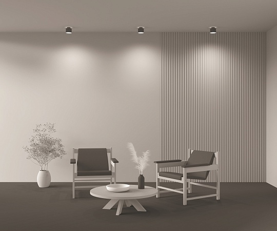 Потолочный светильник Technical Planet C009CW-L12B - фото