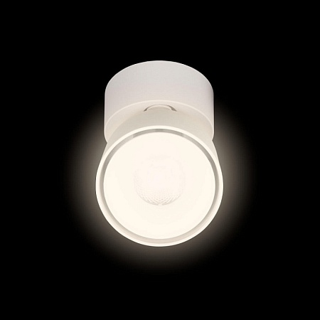 10323/A White Накладной светильник LOFT IT Focus - фото