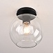 Потолочный Светильник Rh Utilitaire Globe Shade Flushmount Black Imperiumloft 123673-22 - фото
