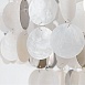 Подвесная люстра Arte Lamp PIPIRIMA A4100LM-8CC - фото