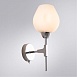  ARTE LAMP A4103AP-1CC - фото