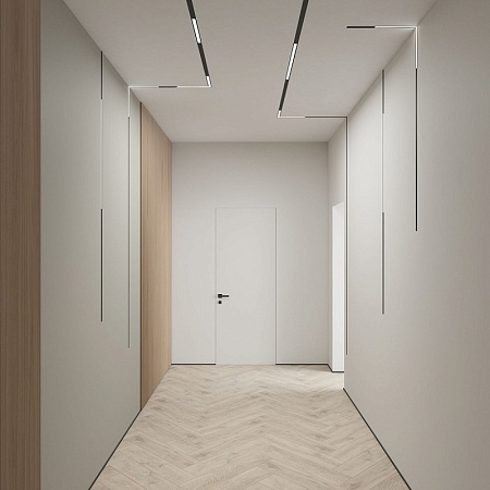 Трековый светильник Denkirs SHINE BASE TR5710-SB - фото