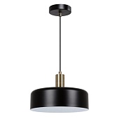 Подвесной светильник Arte Lamp SKAT A7052SP-1BK