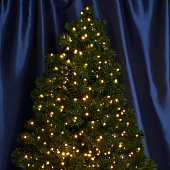 Светодиодная гирлянда Кластер Feron CL09 линейная 10м + 2м 230V 2700К, c питанием от сети, зеленый шнур