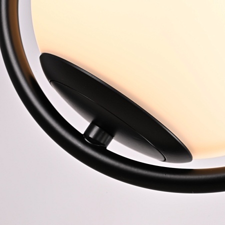 Подвесной Светильник Hoop Drop Black Imperiumloft 213738-26 - фото