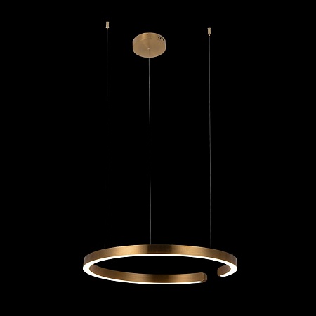 10013L Подвесной светильник LOFT IT Ring - фото