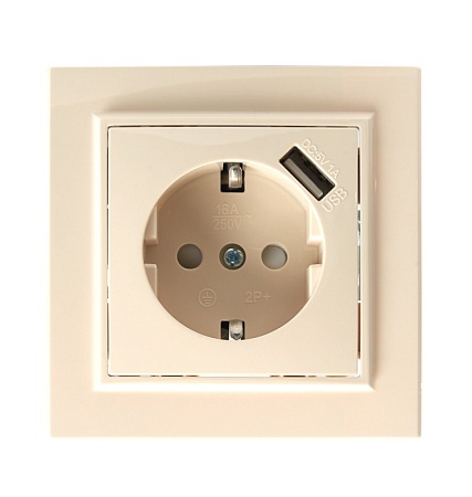 Розетка 1-местная с/з, STEKKER, PST16-9011-02 250В, 16А с защитной шторкой и с USB, серия Эрна, слоновая кость - фото