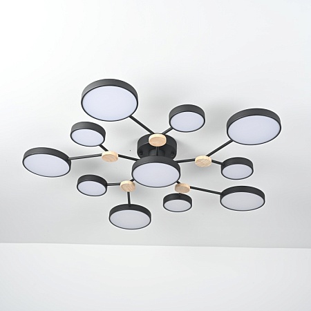 Потолочная Люстра Gamma D102 Black Imperiumloft 223770-23 - фото