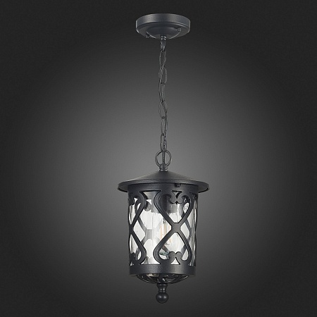 Светильник уличный подвесной ST-Luce Черный/Черный, Прозрачный E27 1*60W SL085.403.01 - фото