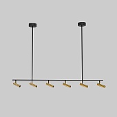 Потолочный светильник Eurosvet 20252/6 LED черный/латунь