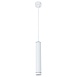 Точечный подвесной светильник Arte Lamp ALTAIS A6110SP-2WH - фото