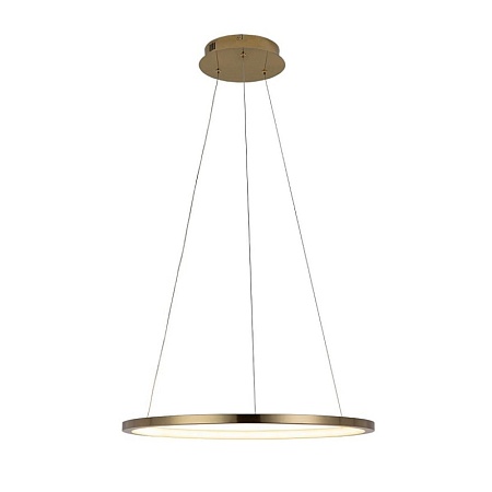 10014M Подвесной светильник LOFT IT Ring - фото