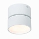 Светильник потолочный поворотный Белый LED 1*9W 3000K 720Lm Ra>90 120° IP20 D85xH87 170 ST651.532.09 - фото