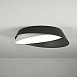 Потолочный Светильник Shell D40 White Black Imperiumloft 228948-26 - фото