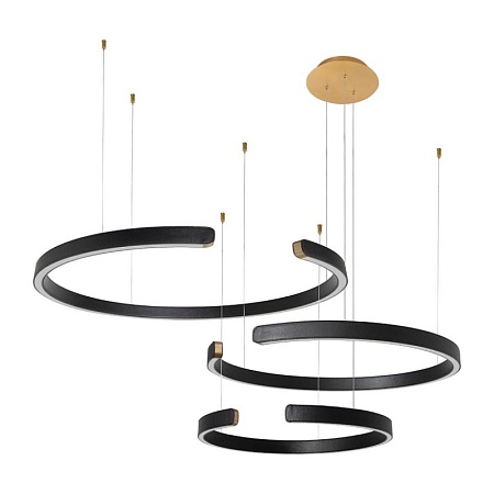 10025/3 Black Подвесной светильник LOFT IT Ring - фото