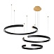 10025/3 Black Подвесной светильник LOFT IT Ring - фото