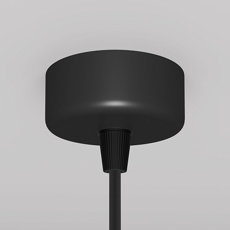 Подвесной светильник Technical Focus Design P038PL-01B - фото