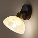 Настенный светильник (бра) Freya FR5526WL-01BBZ - фото