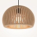 Подвесной светильник Maytoni Roots MOD195PL-01W - фото
