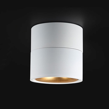 Потолочный Светильник Agenda White+Gold 10W Imperiumloft 191836-26 - фото