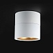 Потолочный Светильник Agenda White+Gold 10W Imperiumloft 191836-26 - фото