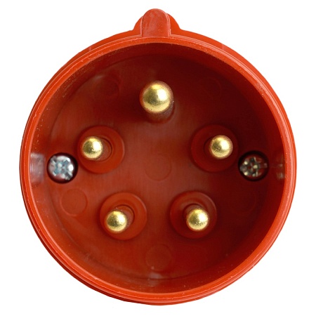 Вилка прямая ST-015 16А 380В 3P+PE+N IP44, PPG16-015-44, Stekker - фото