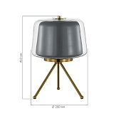 Прикроватная лампа ST-Luce Латунь/Серый, Прозрачный LED 1*16W 3000K SL6127.314.01