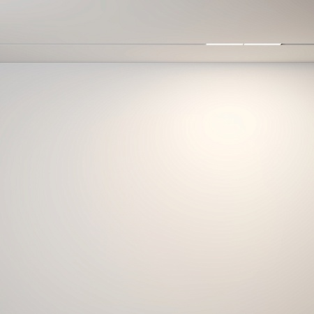 Трековый светильник Technical Parete TR106-2-12W3K-W - фото