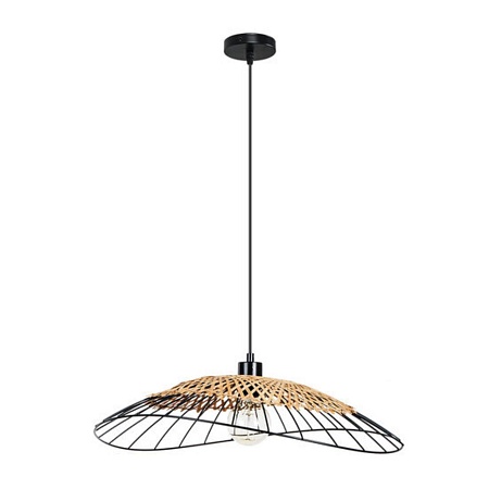 Подвесной светильник Arte Lamp WOODSTOCK A7061SP-1BK - фото