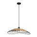 Подвесной светильник Arte Lamp WOODSTOCK A7061SP-1BK - фото