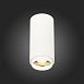 Светильник потолочный Zoom Белый LED 1*10W 3000K 1 000Lm Ra>80 15-60° IP20 D59xH130 170 ST600.532.10 - фото