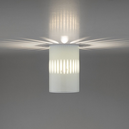 Накладной светодиодный светильник DLS026 Elektrostandard - фото