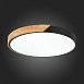 Светильник потолочный Черный, Светлое дерево/Белый LED 1*45W 3000K/4000K/6000K SLE200942-01 - фото