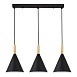 Светильник подвесной Черный/Черный E27 3*40W SLE1255-403-03 - фото